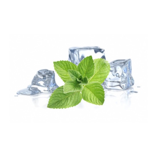 Basic 10ml Icy Menthol